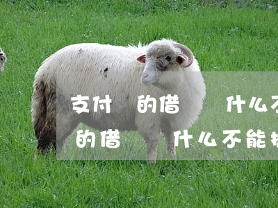 支付寶的借唄為什么不能提前還款-支付寶的借唄為什么不能提前還款了