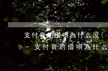 支付寶的借唄為什么沒(méi)有還款日-支付寶的借唄為什么沒(méi)有還款日期