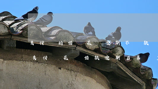 支付寶的借唄花唄逾期不還款會有什么影響（支付寶花唄借款逾期后果嚴重）