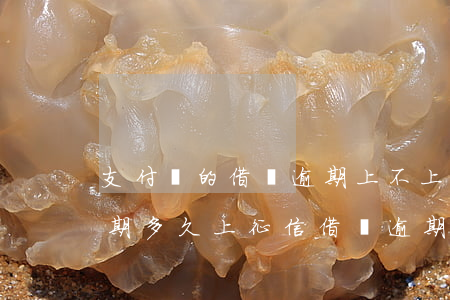 支付寶的借唄逾期上不上征信(支付寶借唄逾期多久上征信?借唄逾期怎么辦)