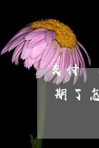 支付寶的借唄逾期了怎么-支付寶的借唄逾期了怎么還款