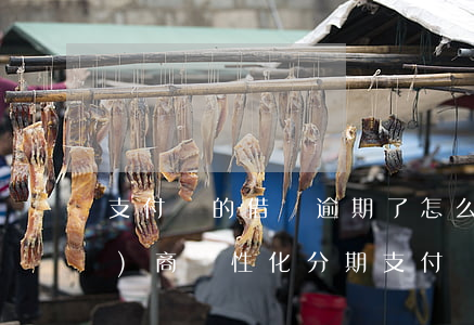 支付寶的借唄逾期了怎么跟他們協(xié)商個性化分期（支付寶的借唄逾期）