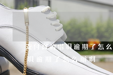 支付寶的借唄逾期了怎么辦啊-支付寶的借唄逾期了怎么辦啊
