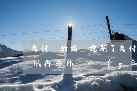 支付寶的借唄逾期了(支付寶的借唄逾期了可以再另外開一個(gè)賬號(hào)嗎)