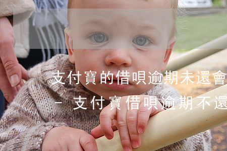 支付寶的借唄逾期未還會(huì)坐牢不-支付寶借唄逾期不還會(huì)有什么后果?看完這些后