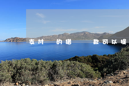 支付寶的借唄還款可以提前還嗎-