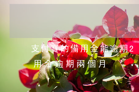 支付寶的備用金能逾期2個月嗎-支付寶備用金逾期兩個月