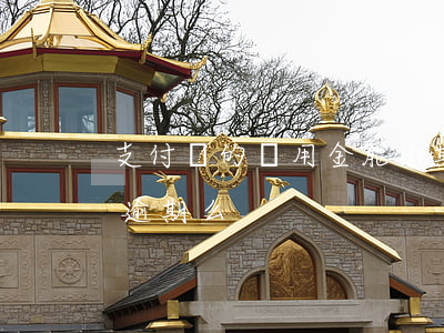支付寶的備用金能逾期嗎(支付寶備用金可以逾期么)