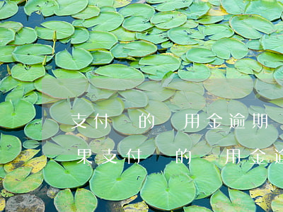 支付寶的備用金逾期會(huì)有什么后果(支付寶的備用金逾期會(huì)有什么后果)