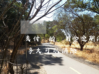 支付寶的備用金逾期消除 支付寶備用金逾期多久可以消除