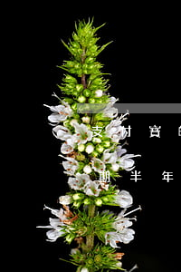 支付寶的帳逾期沒(méi)有還(支付寶逾期半年還了就沒(méi)事了嗎)