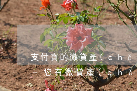支付寶的微貸產(chǎn)品逾期是什么-您有微貸產(chǎn)品逾期記錄