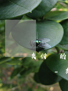 支付寶的網(wǎng)商貸逾期后影響花唄嗎-支付寶的網(wǎng)商貸逾期后影響花唄嗎怎么辦