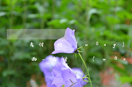 支付寶的網(wǎng)商貸還款是什么東西-支付寶網(wǎng)商貸還款是什么意思