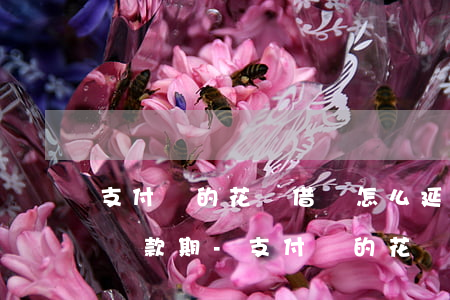 支付寶的花唄借唄怎么延長(zhǎng)還款期-支付寶的花唄借唄怎么延長(zhǎng)還款期限