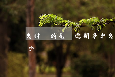 支付寶的花唄逾期多少(支付寶的花唄逾期多少)
