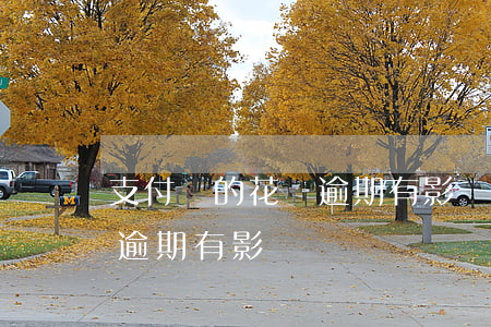 支付寶的花唄逾期有影響嗎-支付寶的花唄逾期有影響嗎