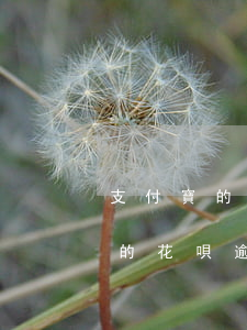 支付寶的花唄逾期無法使用怎么辦-支付寶的花唄逾期無法使用怎么辦呢