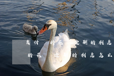支付寶的花唄逾期的利息怎么計算-支付寶的花唄逾期的利息怎么計算出來