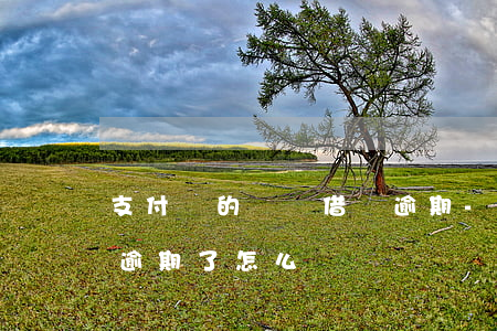 支付寶的螞蟻借唄逾期-支付寶的螞蟻借唄逾期了怎么辦