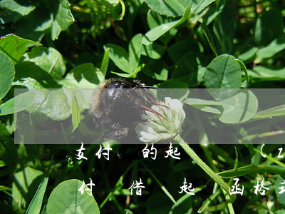 支付寶的起訴書長(zhǎng)什么樣（支付寶借條起訴函格式）