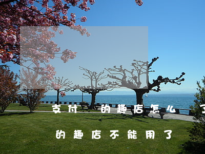 支付寶的趣店怎么沒了怎么還款-支付寶里的趣店不能用了