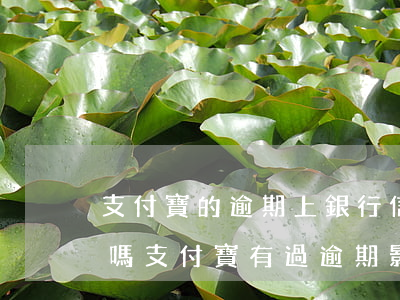 支付寶的逾期上銀行信用系統(tǒng)嗎(支付寶有過逾期影響銀行征信嗎)