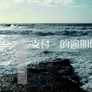 支付寶的逾期信息