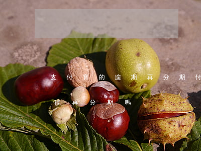 支付寶的逾期再分期付款嗎-支付寶逾期還能再分期嗎