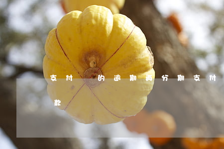 支付寶的逾期再分期(支付寶的逾期再分期付款嗎)