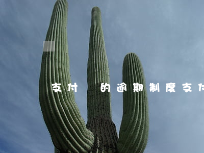 支付寶的逾期制度(支付寶一直逾期的后果)