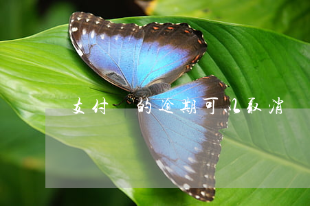 支付寶的逾期可以取消
