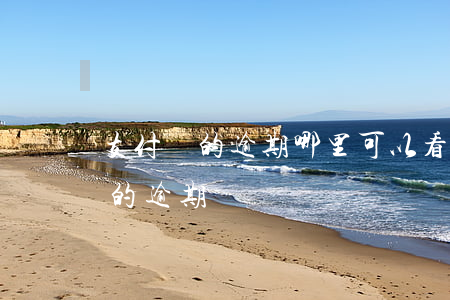 支付寶的逾期哪里可以看(怎么查看支付寶里的逾期)
