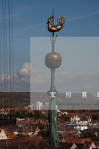 支付寶的逾期客戶是外包給誰(支付寶逾期會(huì)找到到公司嗎)