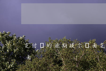 支付寶的逾期提示頁面(支付寶的逾期提示頁面)