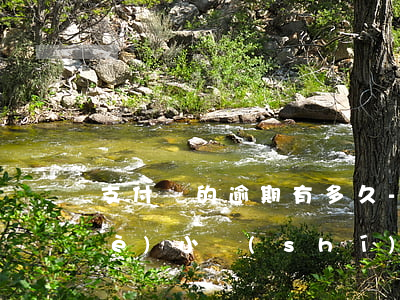 支付寶的逾期有多久-支付寶逾期幾個(gè)小時(shí)