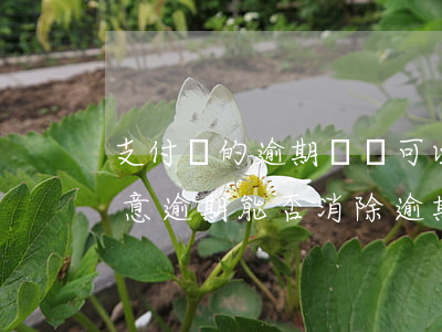 支付寶的逾期記錄可以消除嗎(支付寶不是故意逾期能否消除逾期記錄)