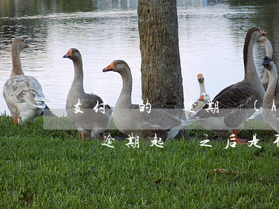 支付寶的錢逾期會(huì)被起訴-支付寶逾期起訴之后是不是把錢還了就行了