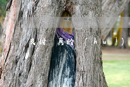 支付寶真的會(huì)發(fā)律師函嗎