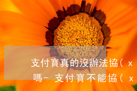 支付寶真的沒辦法協(xié)商分期還款嗎-支付寶不能協(xié)商還款嗎