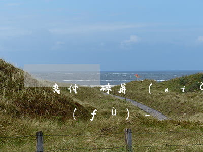 支付寶碎屏險(xiǎn)逾期中止怎么恢復(fù)-