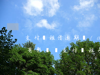 支付寶租借逾期對(duì)個(gè)人有影響嗎 支付寶租手機(jī)逾期