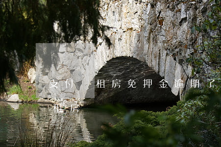 支付寶租房免押金逾期了(支付寶可以免押金租房嗎)