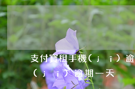 支付寶租手機(jī)逾期三天(支付寶租機(jī)逾期一天)