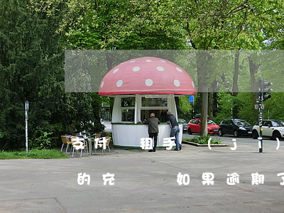 支付寶租手機(jī)逾期兩年了 支付寶租的充電寶如果逾期了怎么辦?