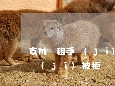 支付寶租手機(jī)逾期后果(支付寶租手機(jī)被拒)