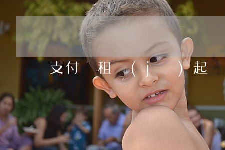 支付寶租機(jī)起訴案例