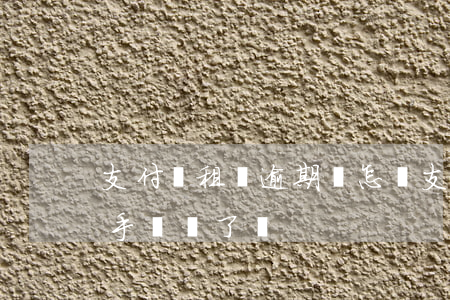 支付寶租機逾期會怎樣（支付寶租機逾期能把手機鎖了嗎）