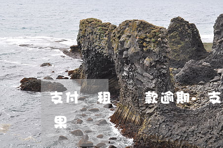 支付寶租機還款逾期-支付寶租機不歸還后果