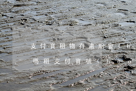 支付寶租物有逾期會(huì)影響租別的嗎(租支付寶號(hào)有什么壞處嗎)